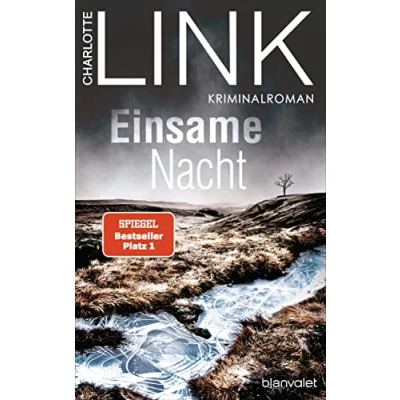 Afbeelding van Einsame nacht