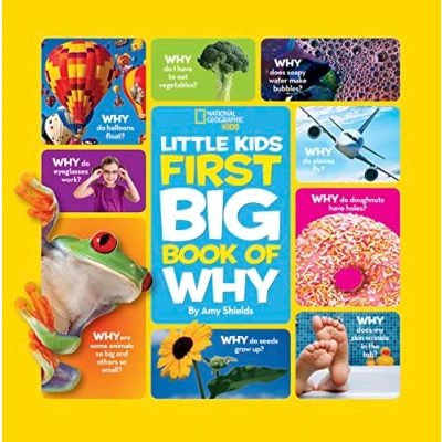Afbeelding van Big Book Of Why