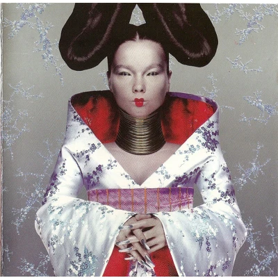 Afbeelding van Homogenic