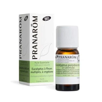 Afbeelding van Pranarôm Gevulde Eucalyptus Etherische Olie met Cryptone (Eucalyptus Polybractea ct Criptone) Bio 10 ml