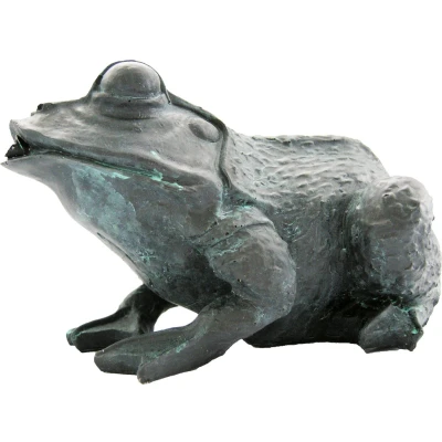 Afbeelding van Spuitfiguur Kikker klein Ubbink
