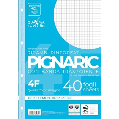 Afbeelding van Pigna 02194594F, vervanging met versterkte band, 4F strepen, 4 mm geruit rand voor en 5. middelgrote hogere elementen, 80 g/m² papier, 40 vellen