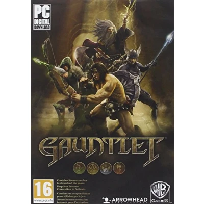 Afbeelding van Gauntlet Code In A Box Windows