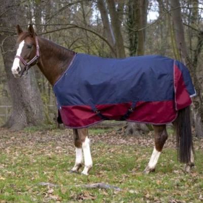 Afbeelding van EQUITHÈME Outdoordeken Tyrex 1200D 50g met Halve Hals Navy/Bordeaux 165/215