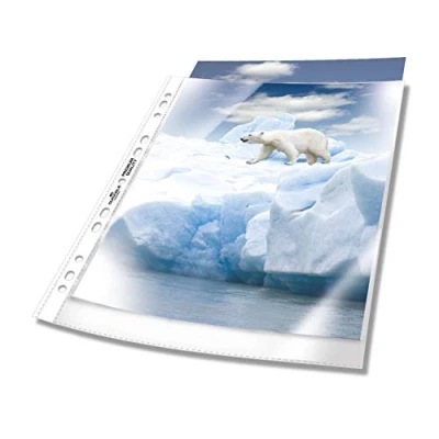 Image de Durable pochette perforée transparent lot de 100 268319