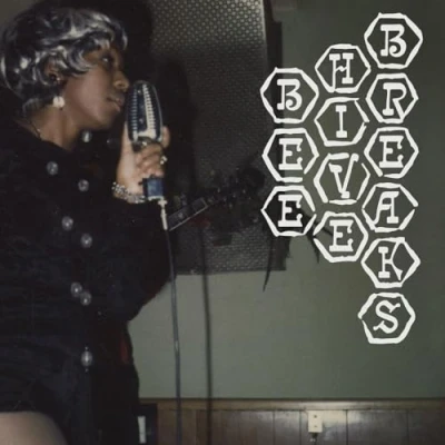 Afbeelding van V/A Beehive Breaks (LP)