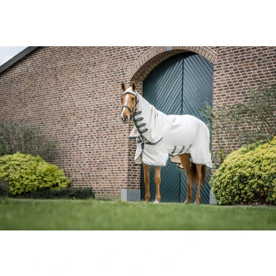 Afbeelding van Rambo Hoody Chalk/Hunter Green/Silver