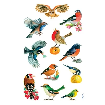 Afbeelding van Avery Stickervel Vogels Junior 7,6 X 12 Cm Papier 33 delig