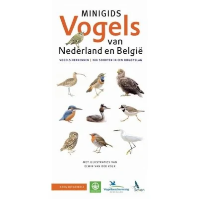 Image de Set Minigids Vogels van Nederland en België