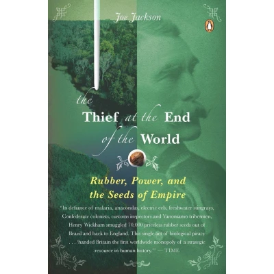 Afbeelding van the Thief at End of World