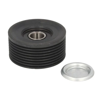 Afbeelding van DAYCO APV2703 Geleiderol