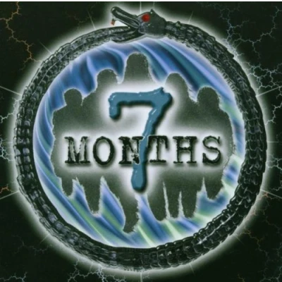 Afbeelding van Seven Months