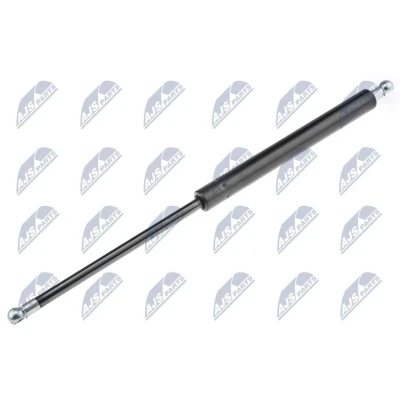 Afbeelding van NTY AE HD 010 Gasveer achterklep 500 414