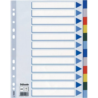 Afbeelding van Esselte Tabbladen 12 Tabs