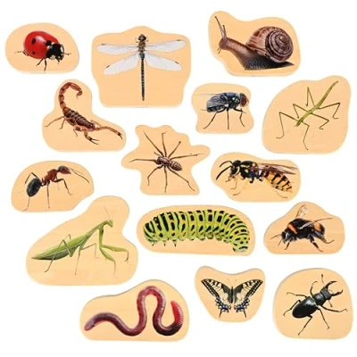 Afbeelding van TickiT WOODEN MINIBEAST BLOCKS