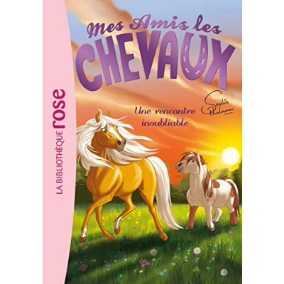 Afbeelding van Mes amis les chevaux,06