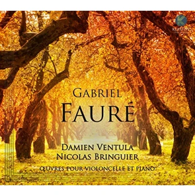Afbeelding van FAURE / OEUVRES POUR VIOLONCELLE &amp;AMP;