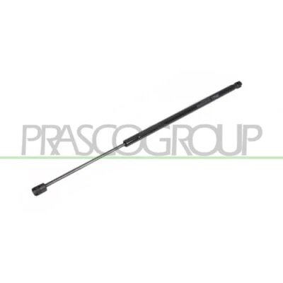 Afbeelding van PRASCO FT4209070 Gasveer achterklep 810 603 Links achter, Rechts achter FIAT: Stilo Hatchback