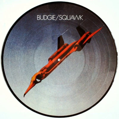 Afbeelding van Budgie Squawk (LP) (Picture Disc)