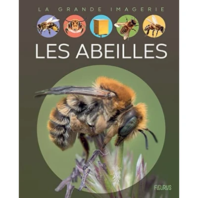 Afbeelding van ISBN Les Abeilles, Literatuur, Frans, Paperback