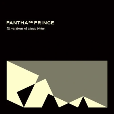 Afbeelding van Pantha Du Prince V Versions Of Black Noise (12&quot; Vinyl Single)