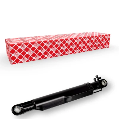 Afbeelding van Febi Bilstein Cabine kantelcilinder 172299