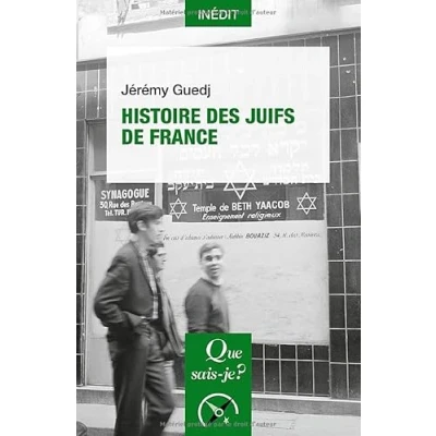 Afbeelding van Histoire des Juifs de France