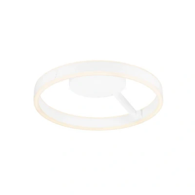 Afbeelding van SLV, Wandlamp + plafondlamp, Een (900 lm)