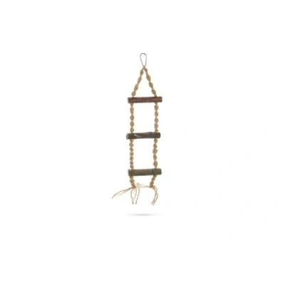 Afbeelding van Beeztees Hinto Ladder Vogelspeelgoed 36 cm