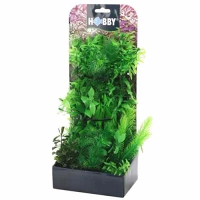 Afbeelding van Plantasy set 5 decoratie planten Smulders