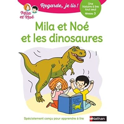 Afbeelding van Mila et Noé les dinosaures: Niveau 3