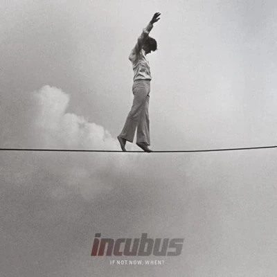 Afbeelding van Incubus If Not Now, When? (2 LPs)