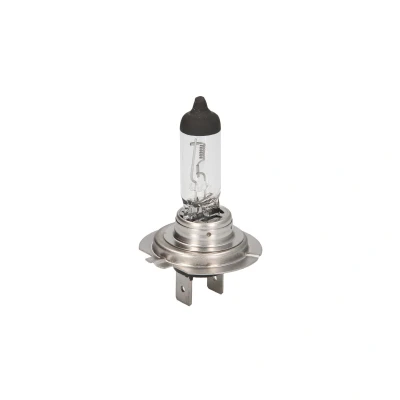 Afbeelding van Bosch Gloeilamp 1 987 302 772