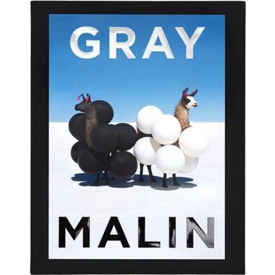 Afbeelding van Gray Malin
