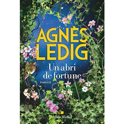 Afbeelding van Un abri de fortune