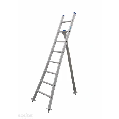 Afbeelding van Solide plukladder 8 sporten