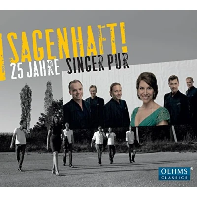Afbeelding van Singer Pur 25 Years Of (CD)