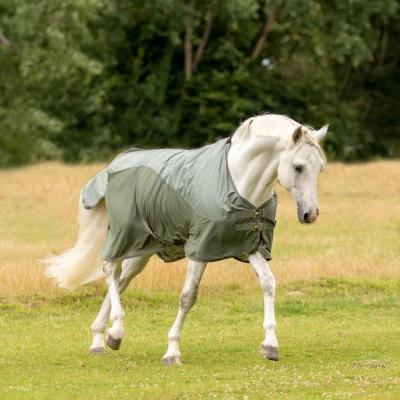Image de Busse Paddock rug Rainfly