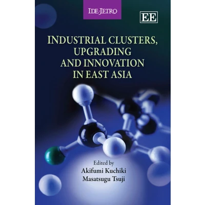 Afbeelding van Industrial Clusters, Upgrading and Innovation in East Asia