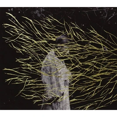 Afbeelding van Forest Swords Engravings (CD)