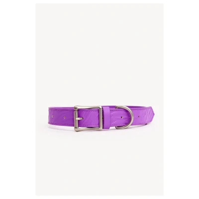 Afbeelding van Dogguo Zebra Collar Hondenhalsband Paars