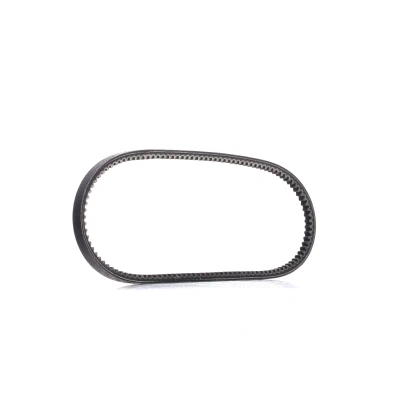 Afbeelding van Gates V riem 6466EXL