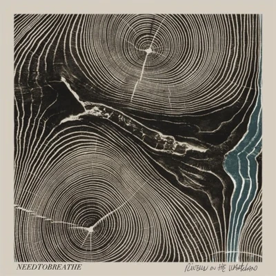Afbeelding van Needtobreathe Rivers In The Wasteland (CD)