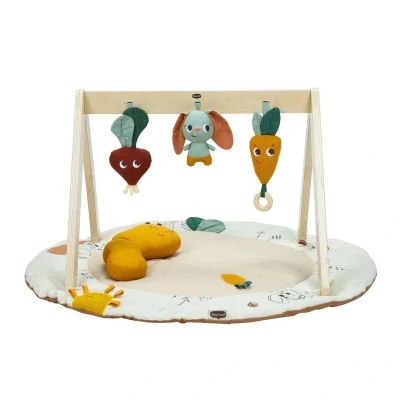Afbeelding van Tiny Love Luxe Gymini Garden Of Adventures