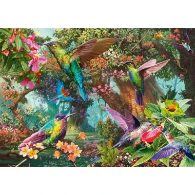Afbeelding van Schmidt Spiele Farbenspiel der Kolibris 1000 Teile (1000 onderdelen)