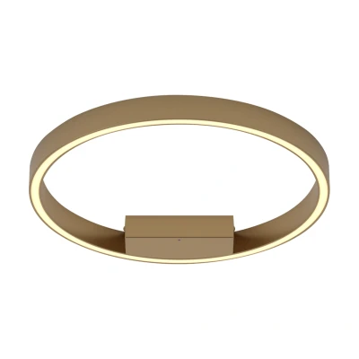 Afbeelding van Maytoni Plafondlamp Rim Messing Ø40