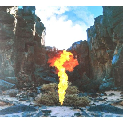 Afbeelding van Bonobo: Migration [CD]