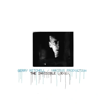 Afbeelding van The Invisible Lodger (LP)