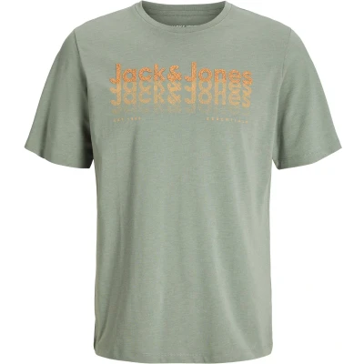 Afbeelding van JACK&amp;JONES JJTEX TEE SS CREW NECK Heren T shirt Iceberg Green