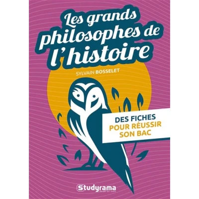 Image de Les grands philosophes de l&#039;histoire